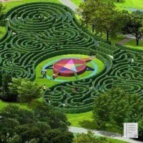 湘湖畔新添好玩的植物迷宫 5天的免费观摩日即将开启