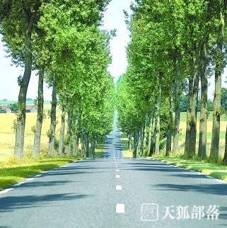 河南：今年将完成新改建农村公路5000公里以上