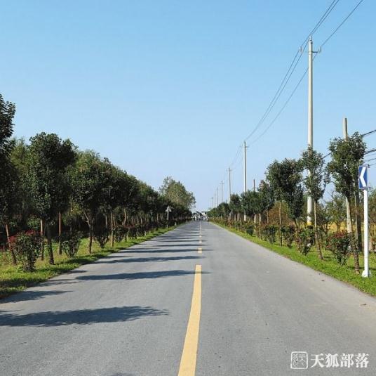 吉林市全面实施农村公路“路长制”